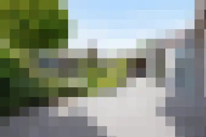 Strijpsel 19 Sint-Michielsgestel thumbnail 30