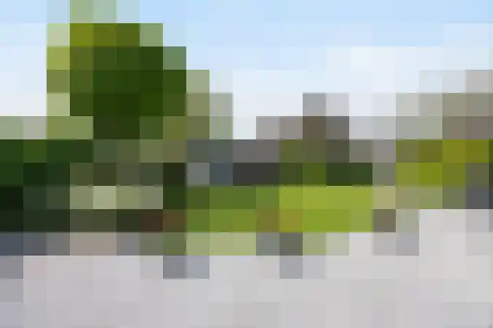 Strijpsel 19 Sint-Michielsgestel thumbnail 32