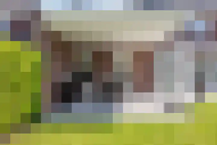 Strijpsel 19 Sint-Michielsgestel thumbnail 35