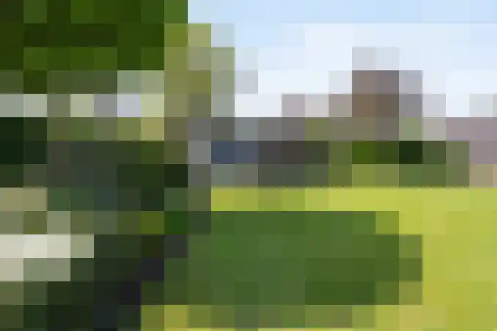 Strijpsel 19 Sint-Michielsgestel thumbnail 37