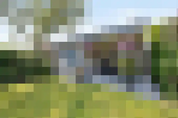 Strijpsel 19 Sint-Michielsgestel thumbnail 38