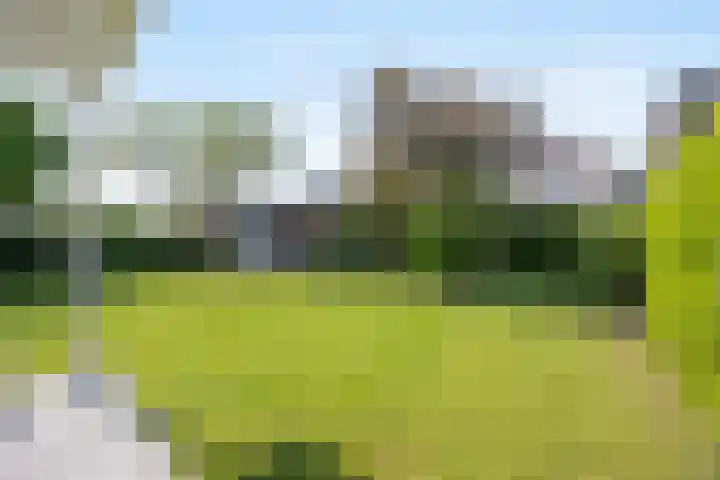 Strijpsel 19 Sint-Michielsgestel thumbnail 39