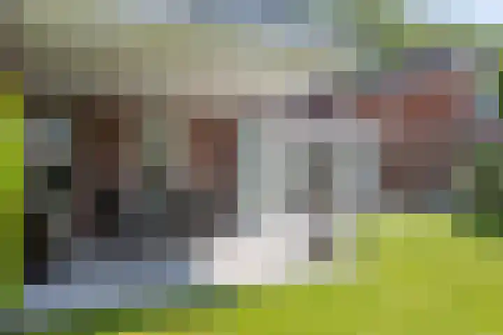 Strijpsel 19 Sint-Michielsgestel thumbnail 4