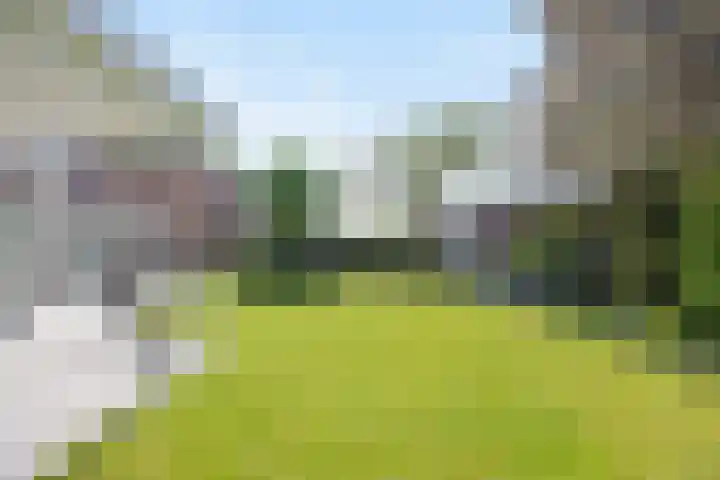 Strijpsel 19 Sint-Michielsgestel thumbnail 40
