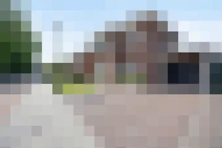 Strijpsel 19 Sint-Michielsgestel thumbnail 44