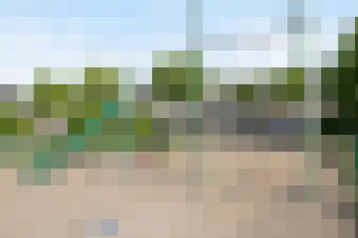 Strijpsel 19 Sint-Michielsgestel thumbnail 47