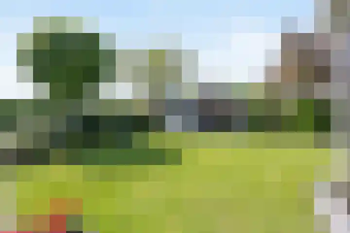 Strijpsel 19 Sint-Michielsgestel thumbnail 5