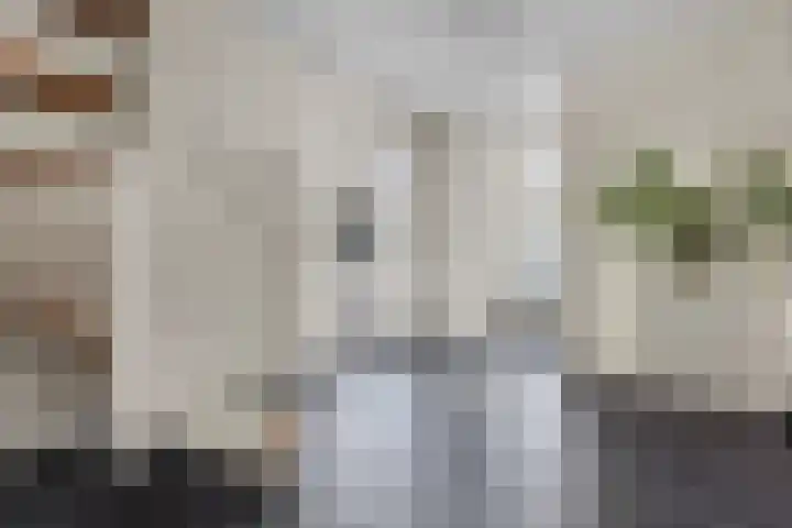 Strijpsel 19 Sint-Michielsgestel thumbnail 6