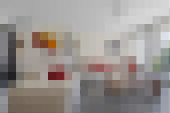 Strijpsel 19 Sint-Michielsgestel thumbnail 8