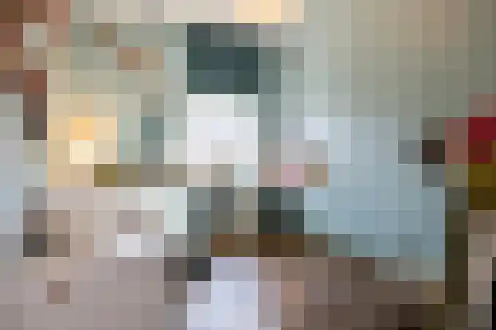 Strijpsestraat 105 Eindhoven thumbnail 21