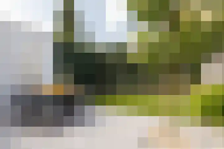Strijpsestraat 105 Eindhoven thumbnail 27