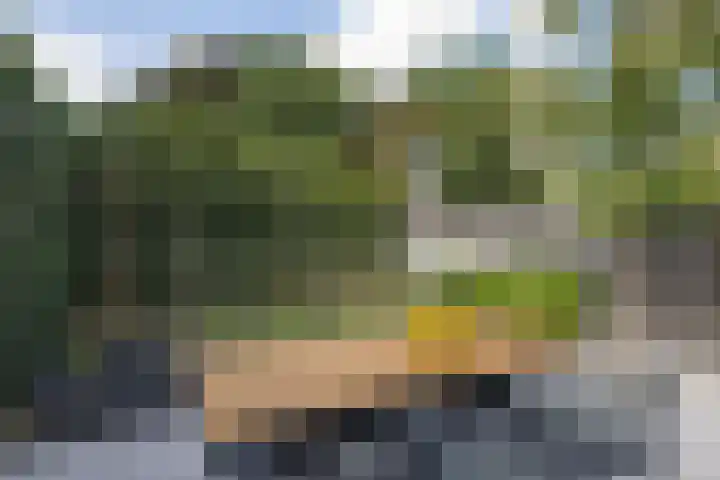 Strijpsestraat 105 Eindhoven thumbnail 28