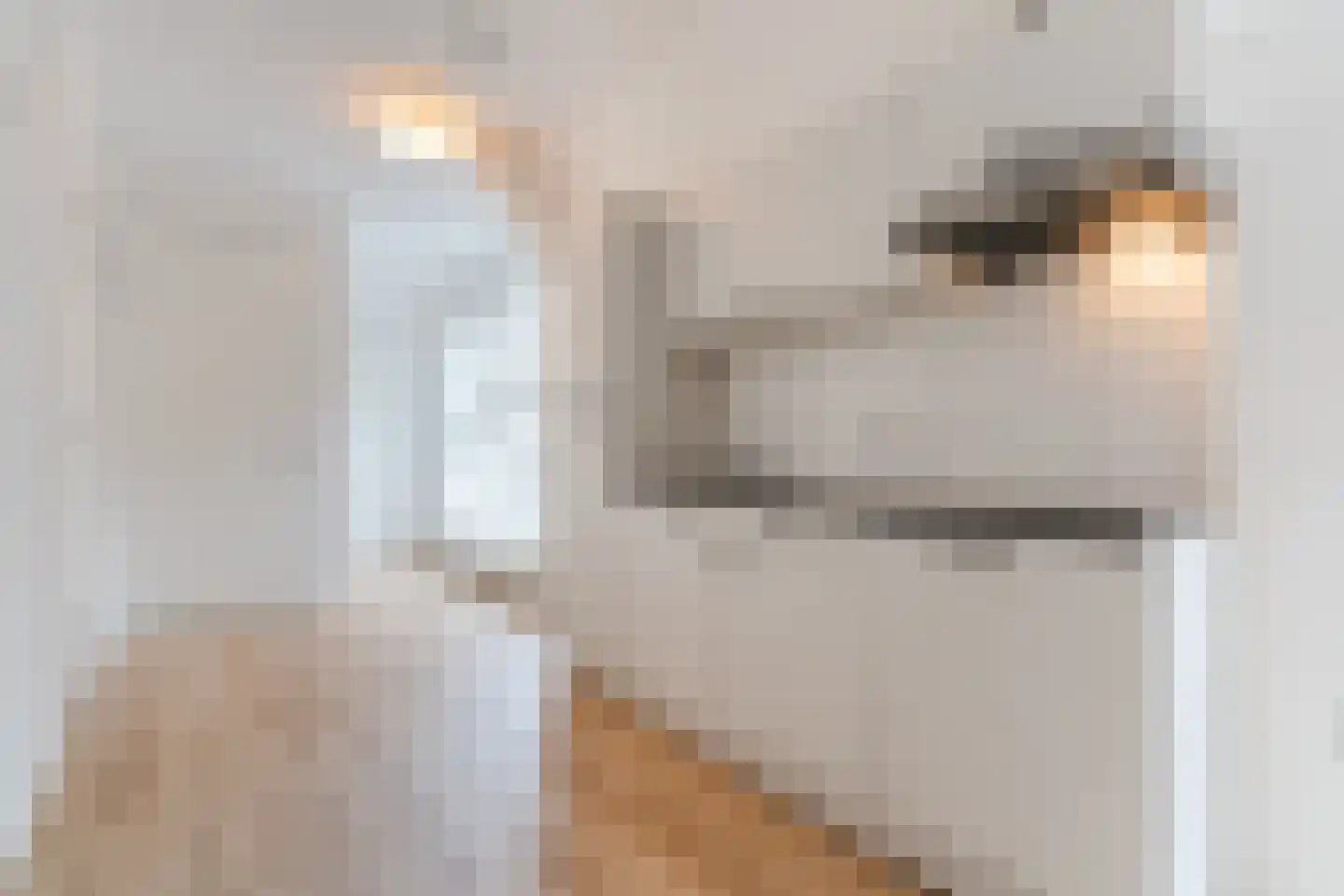 Strijpsestraat 133 E Eindhoven thumbnail 11