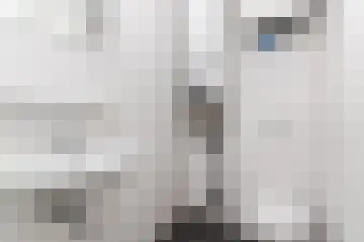 Strijpsestraat 133 E Eindhoven thumbnail 16
