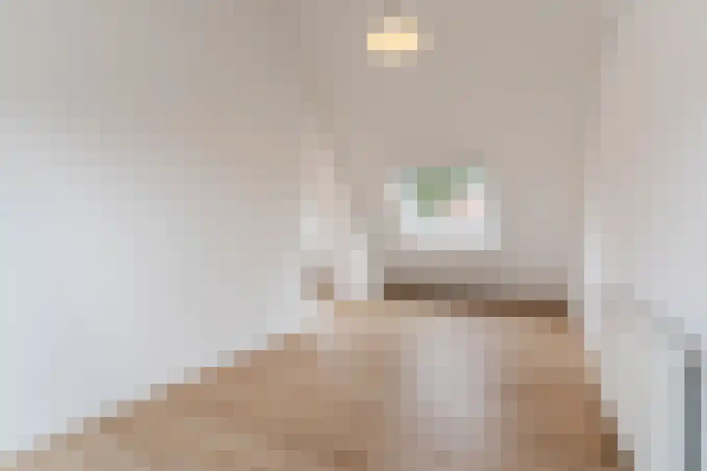 Strijpsestraat 133 E Eindhoven thumbnail 22