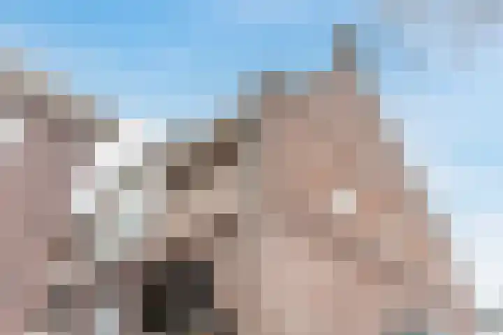Strijpsestraat 133 E Eindhoven thumbnail 25
