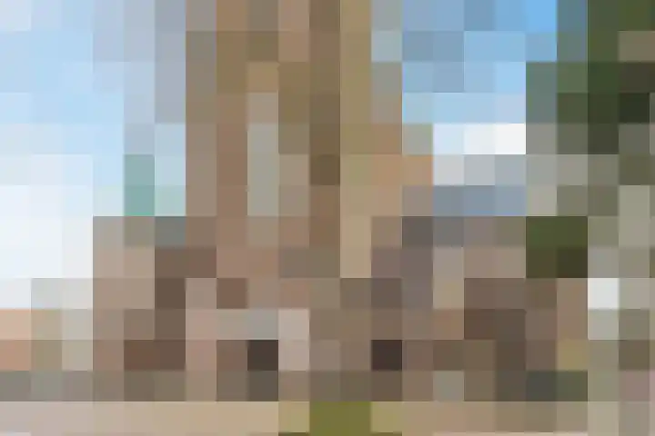 Strijpsestraat 133 E Eindhoven thumbnail 29