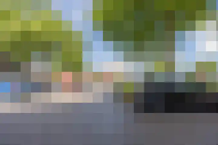 Strijpsestraat 133 E Eindhoven thumbnail 5