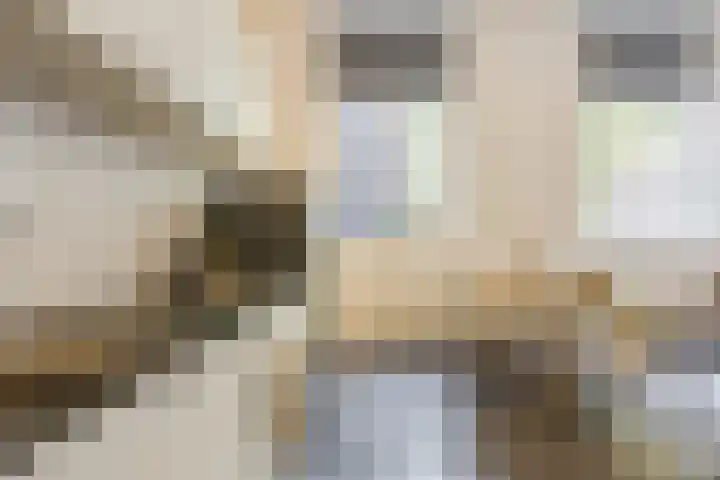 Strijpsestraat 133 Eindhoven thumbnail 10