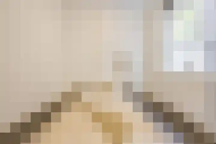 Strijpsestraat 133 Eindhoven thumbnail 11
