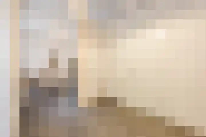 Strijpsestraat 133 Eindhoven thumbnail 15