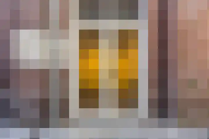 Strijpsestraat 133 Eindhoven thumbnail 17