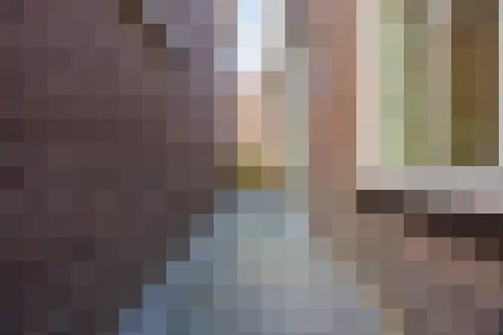 Strijpsestraat 133 Eindhoven thumbnail 19