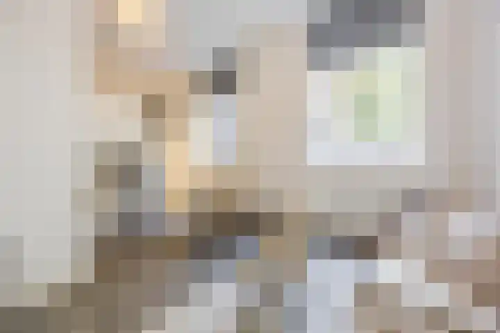 Strijpsestraat 133 Eindhoven thumbnail 5