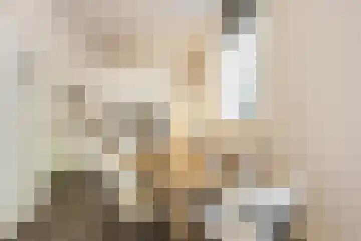 Strijpsestraat 133 Eindhoven thumbnail 6