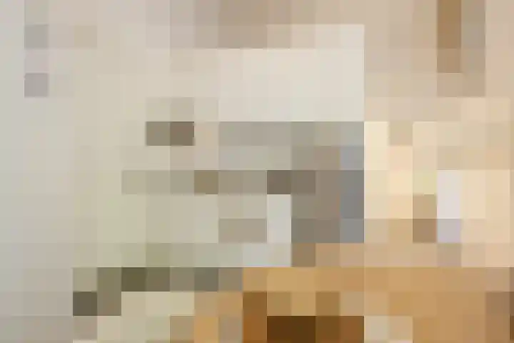 Strijpsestraat 133 Eindhoven thumbnail 7