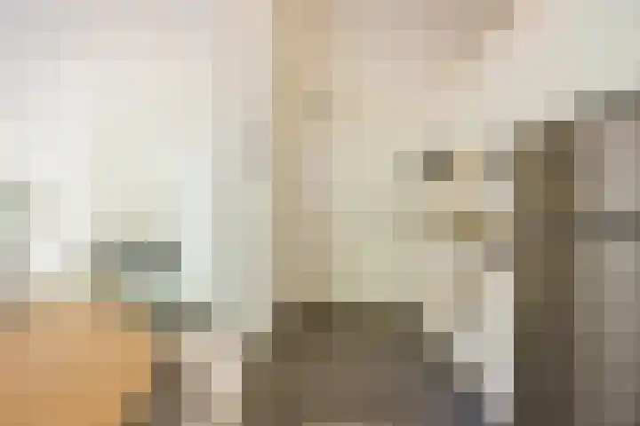 Strijpsestraat 133 Eindhoven thumbnail 9