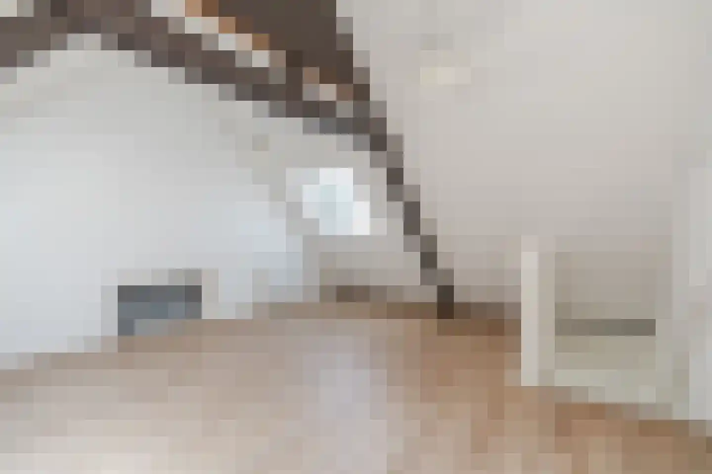 Strijpsestraat 133 J Eindhoven thumbnail 16
