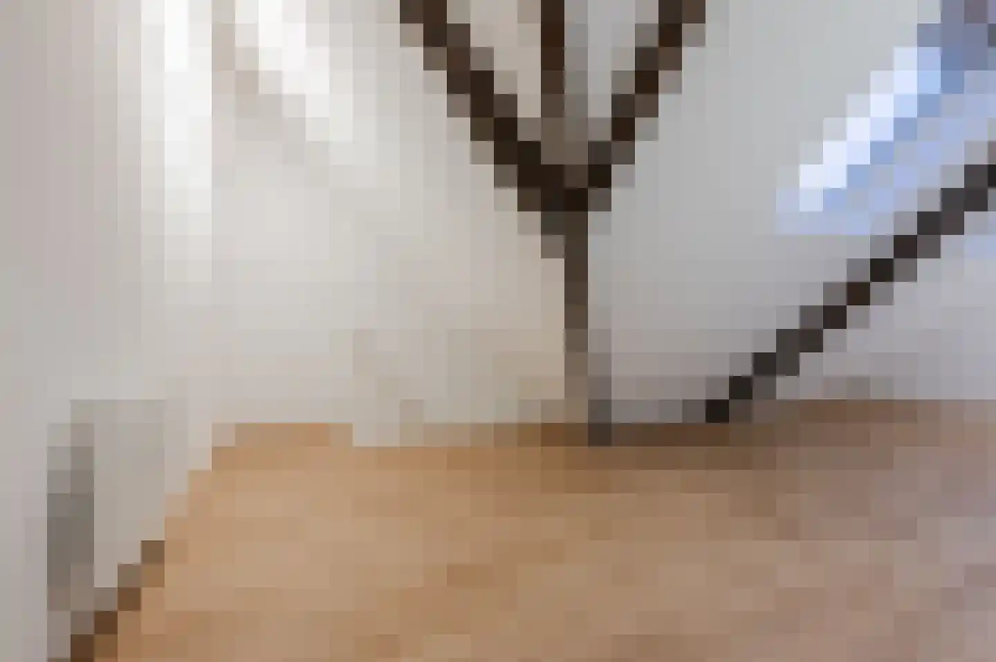 Strijpsestraat 133 K Eindhoven thumbnail 19