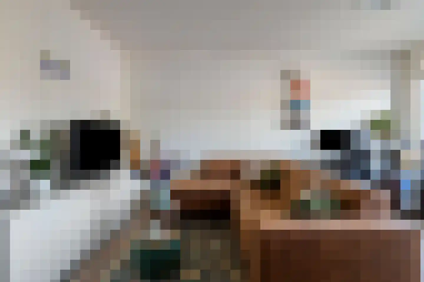 Strijpsestraat 139 B Eindhoven thumbnail 15