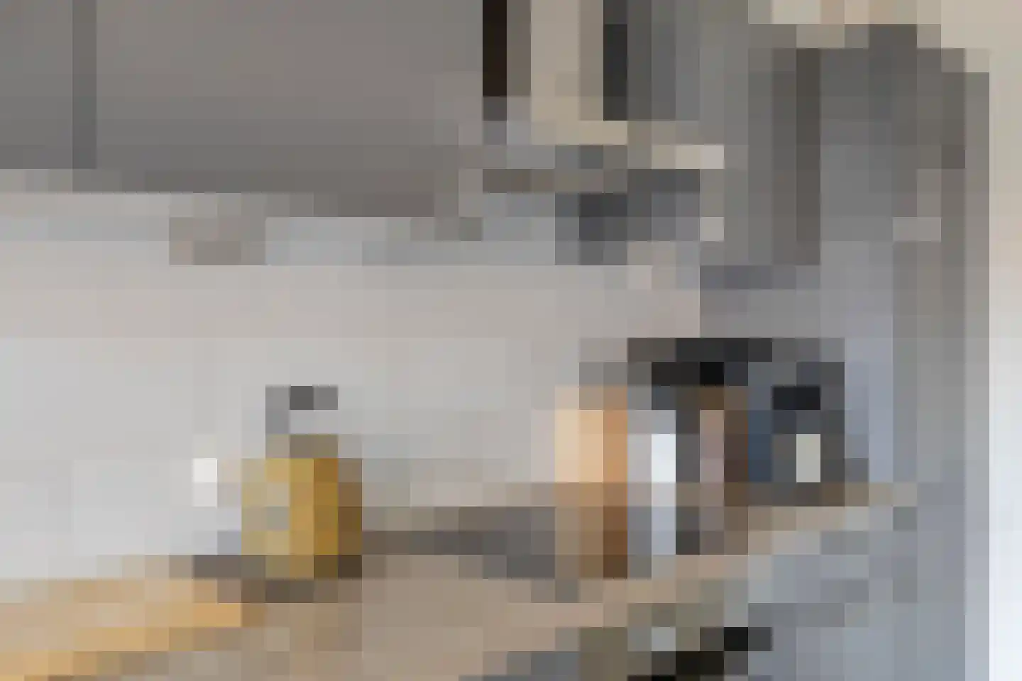 Strijpsestraat 139 B Eindhoven thumbnail 20