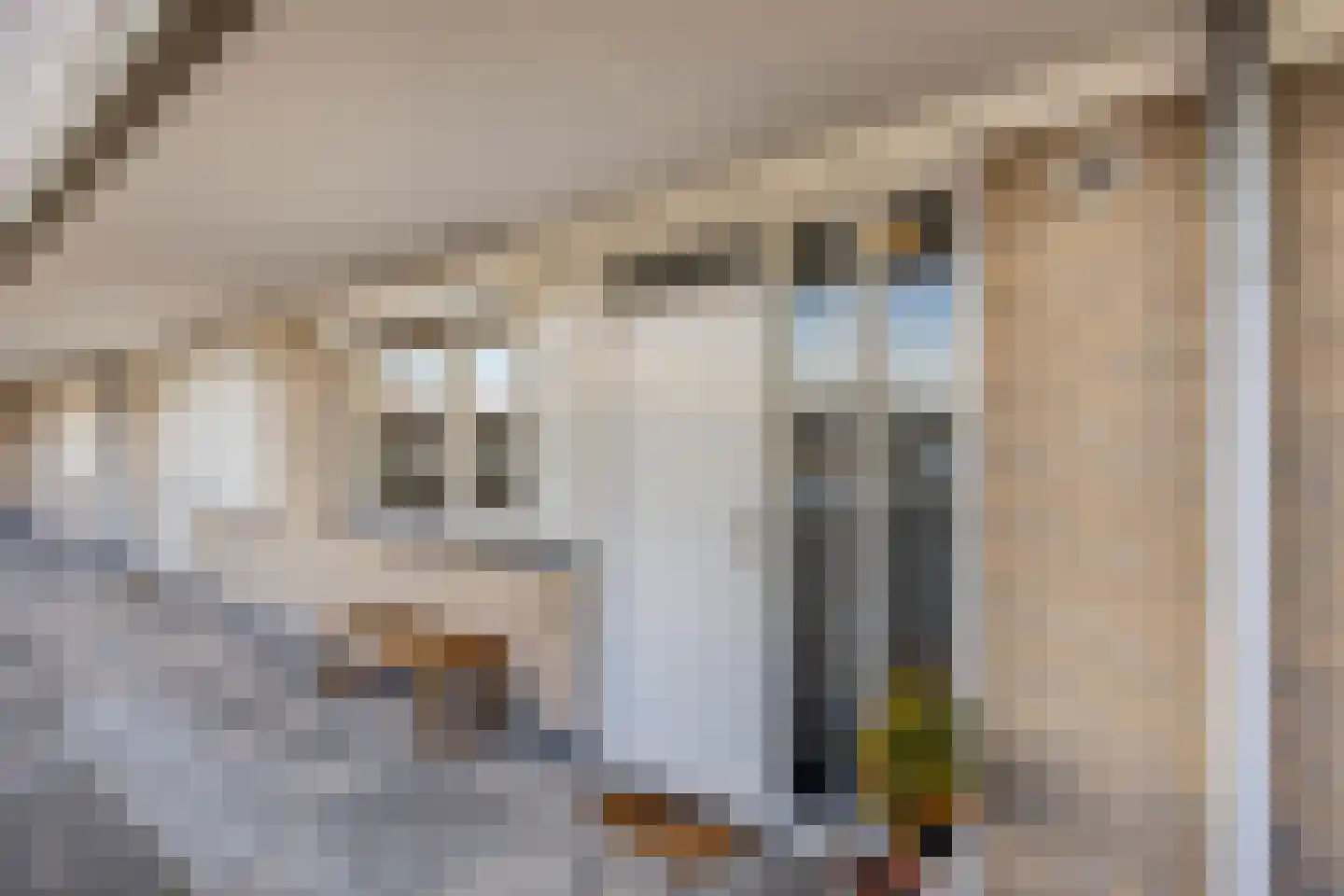 Strijpsestraat 139 B Eindhoven thumbnail 6