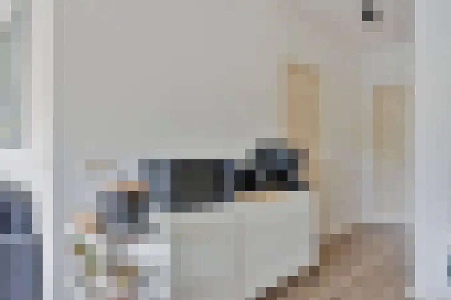 Strijpsestraat 141 A Eindhoven thumbnail 21