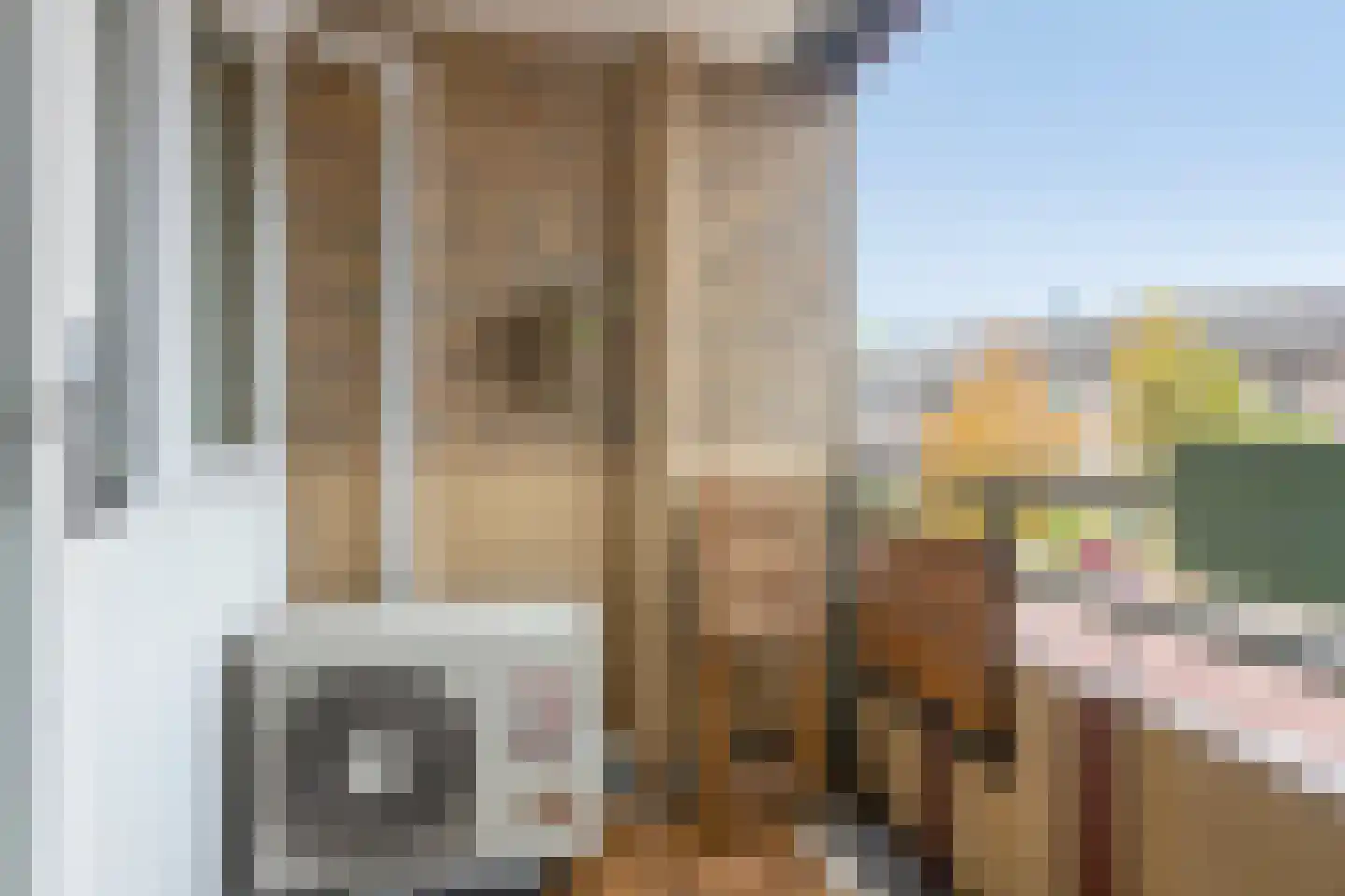 Strijpsestraat 141 A Eindhoven thumbnail 26