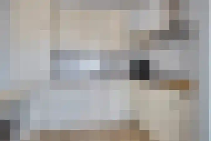 Strijpsestraat 144 28 Eindhoven thumbnail 13