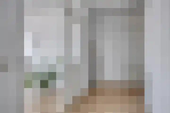 Strijpsestraat 144 28 Eindhoven thumbnail 16
