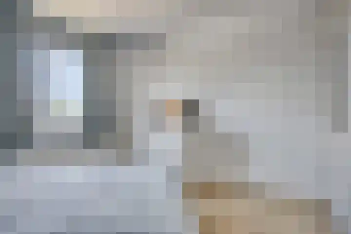 Strijpsestraat 144 28 Eindhoven thumbnail 18
