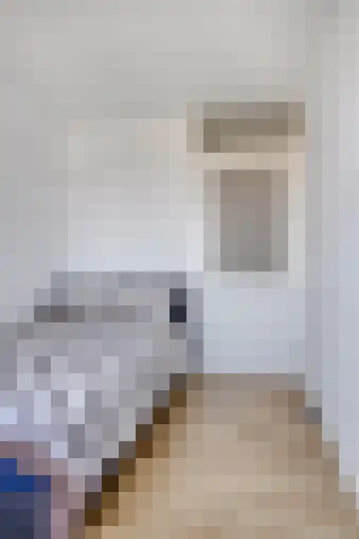 Strijpsestraat 144 28 Eindhoven thumbnail 21