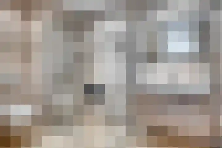 Strijpsestraat 144 28 Eindhoven thumbnail 22