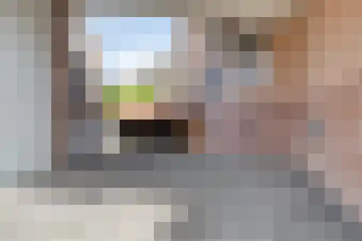 Strijpsestraat 144 28 Eindhoven thumbnail 33