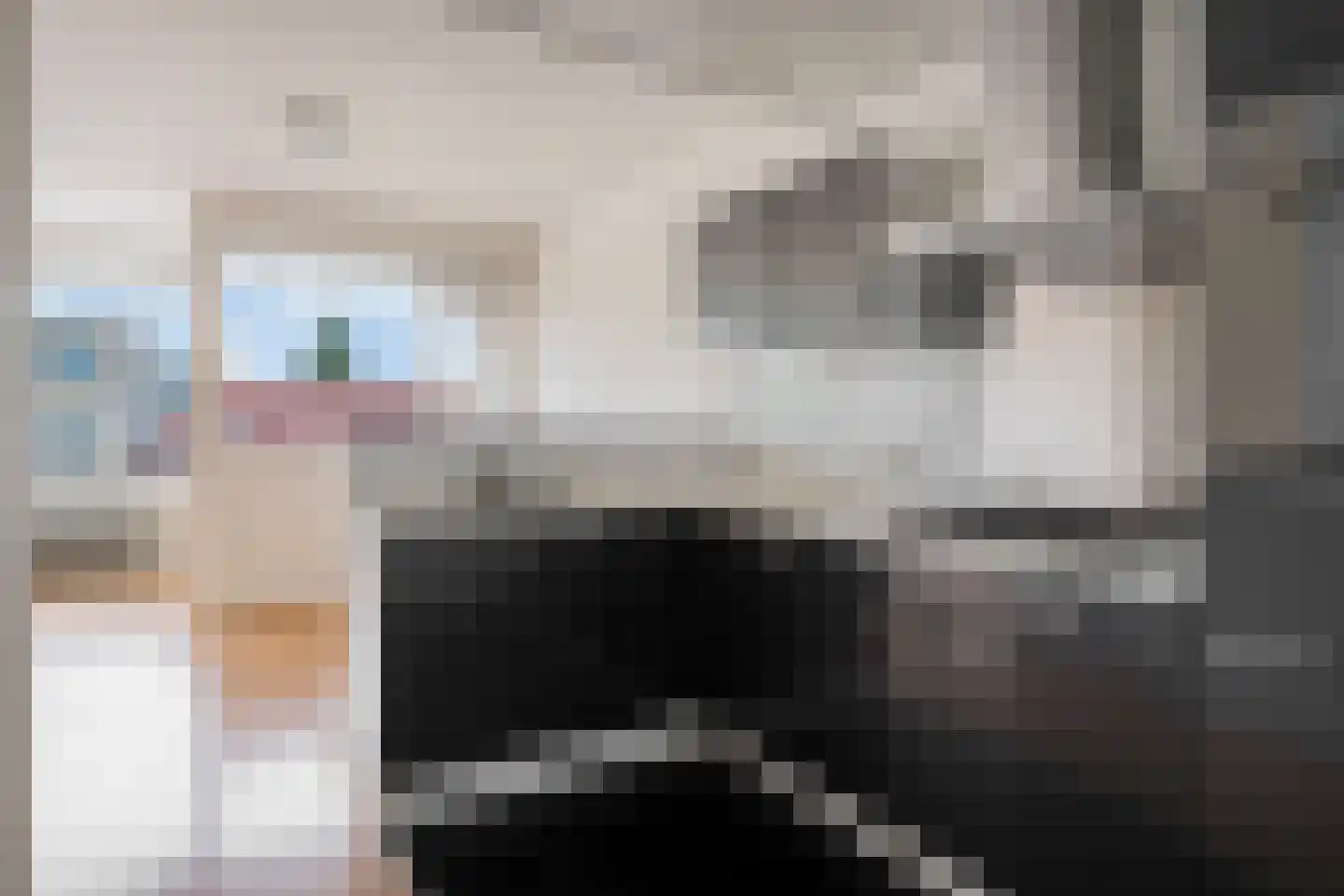 Strijpsestraat 153 Eindhoven thumbnail 4