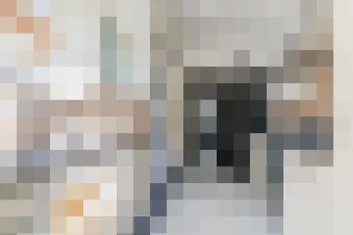 Strijpsestraat 173 Eindhoven thumbnail 15