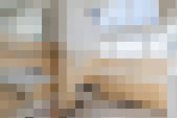 Strijpsestraat 173 Eindhoven thumbnail 23