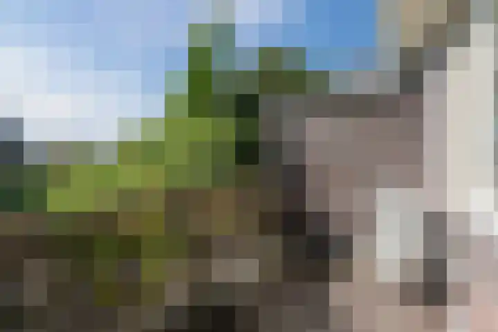 Strijpsestraat 173 Eindhoven thumbnail 26