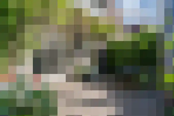 Strijpsestraat 173 Eindhoven thumbnail 35