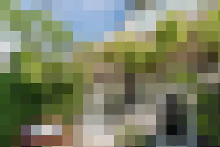Strijpsestraat 173 Eindhoven thumbnail 36